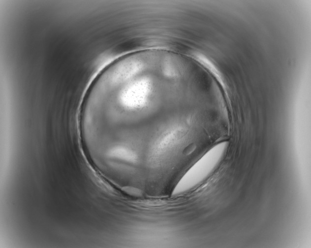 X0000086991291200704301330