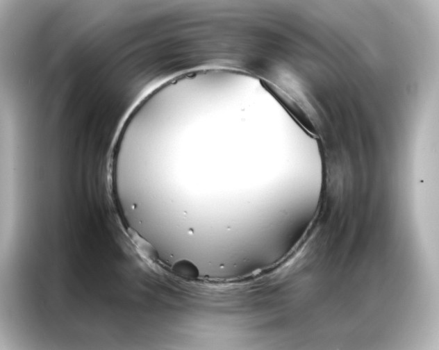 X0000086991292200704301330