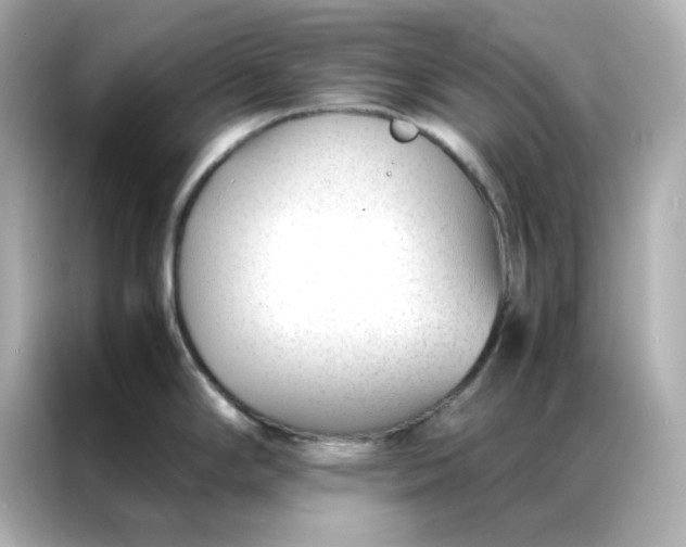 X0000086991294200704301330