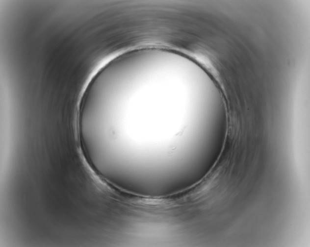 X0000086991295200704301330