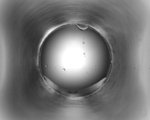 X0000086991296200704301330