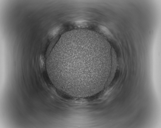 X0000086991298200704301329