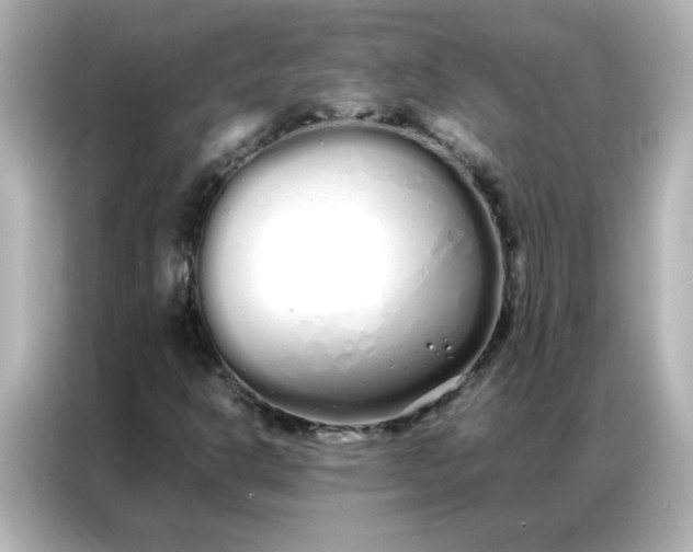 X0000086991302200704301329