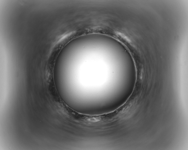 X0000086991303200704301329