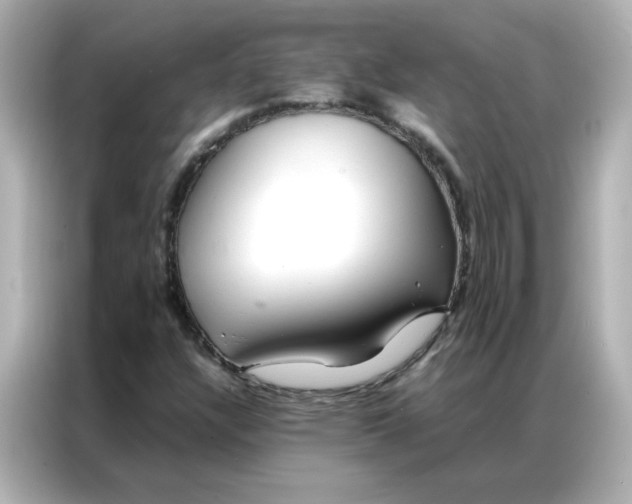 X0000086991304200704301329