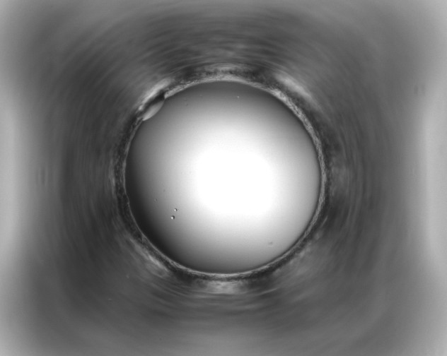 X0000086991305200704301329