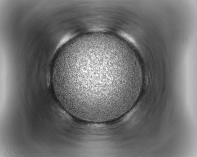 X0000086991306200704301329