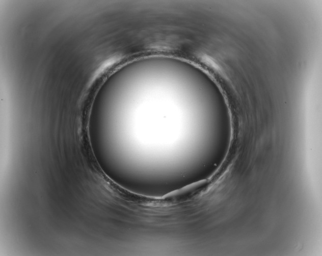 X0000086991307200704301329