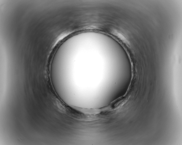 X0000086991308200704301329