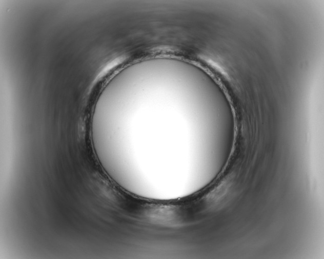 X0000086991309200704301329