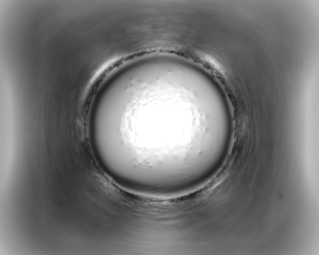 X0000086991310200704301329