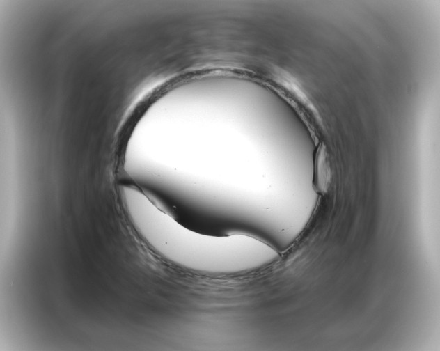 X0000086991312200704301330