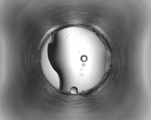 X0000086991314200704301330