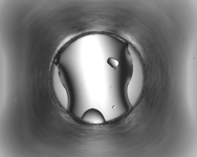 X0000086991316200704301330