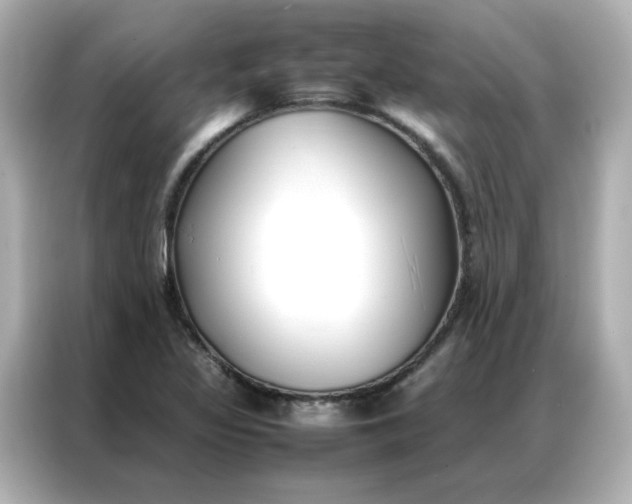 X0000086991317200704301330