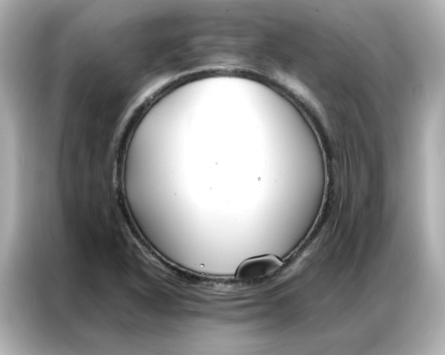 X0000086991318200704301330