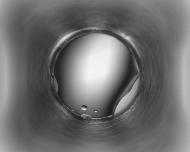 X0000086991319200704301330