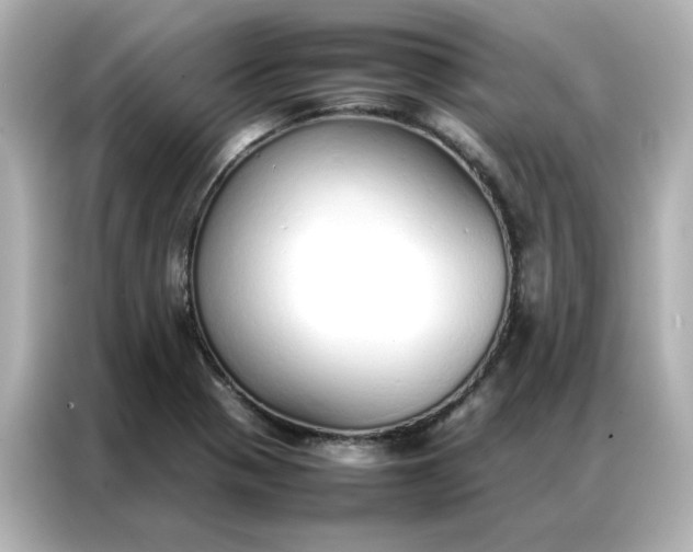 X0000086991321200704301330