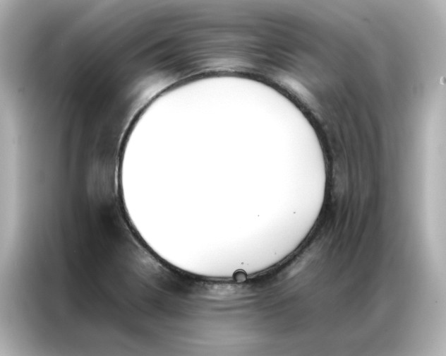 X0000086991322200704301330