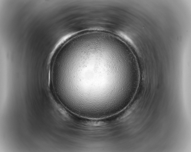 X0000086991323200704301330