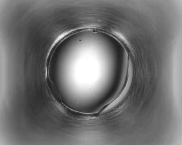 X0000086991324200704301330