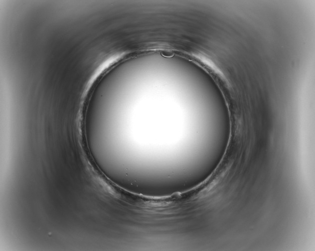 X0000086991325200704301330