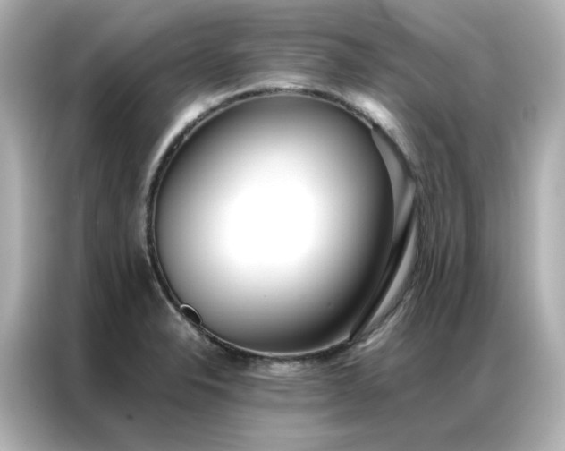 X0000086991326200704301330