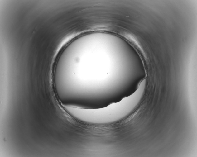 X0000086991328200704301330