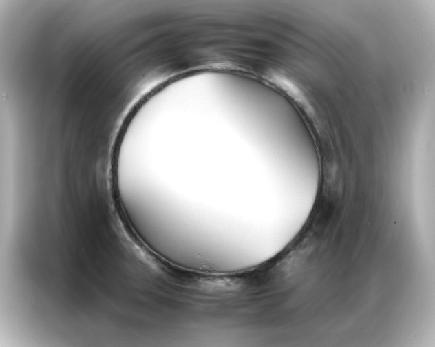 X0000086991331200704301330