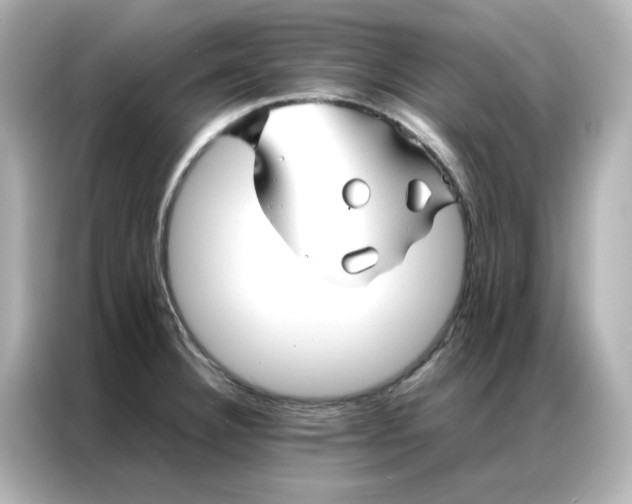 X0000086991332200704301330