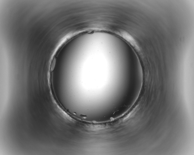 X0000086991334200704301330