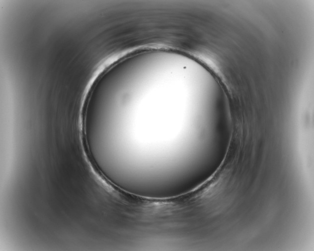 X0000086991335200704301330