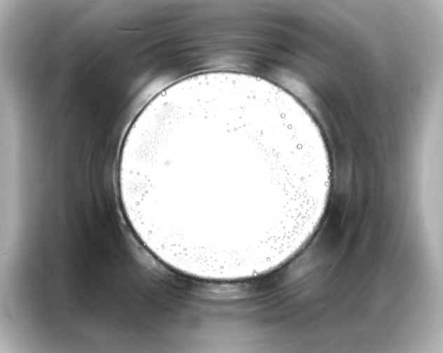 X0000086991338200704301330