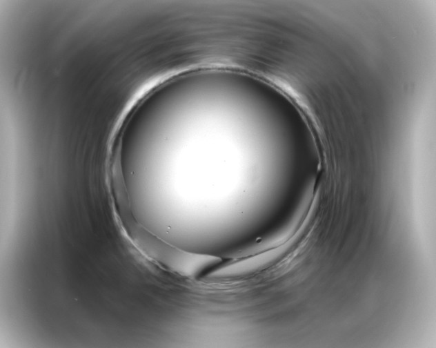 X0000086991342200704301330