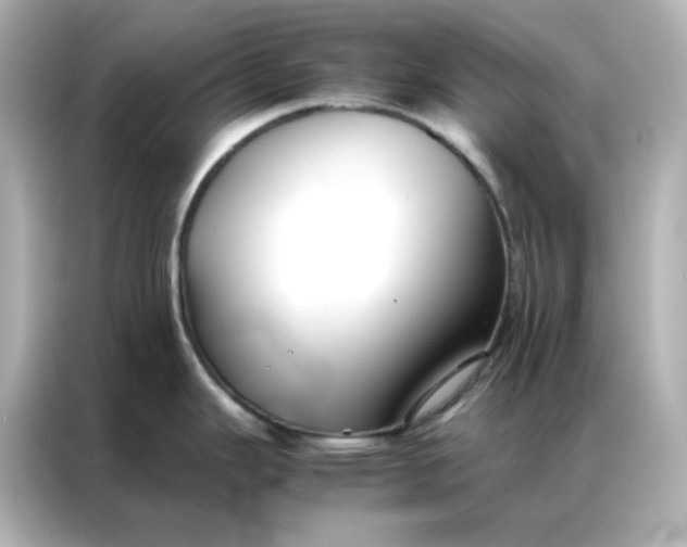 X0000086991343200704301330