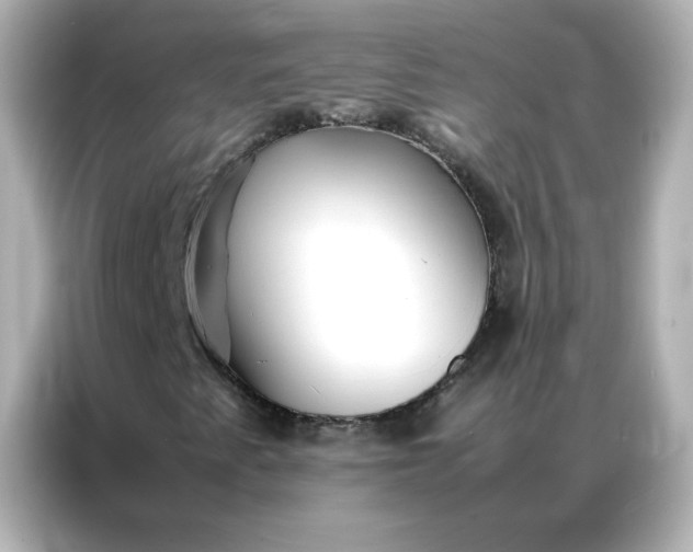 X0000086991345200704301329