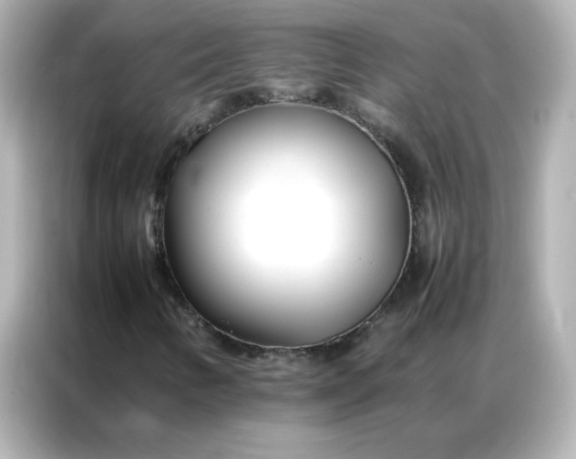 X0000086991346200704301329