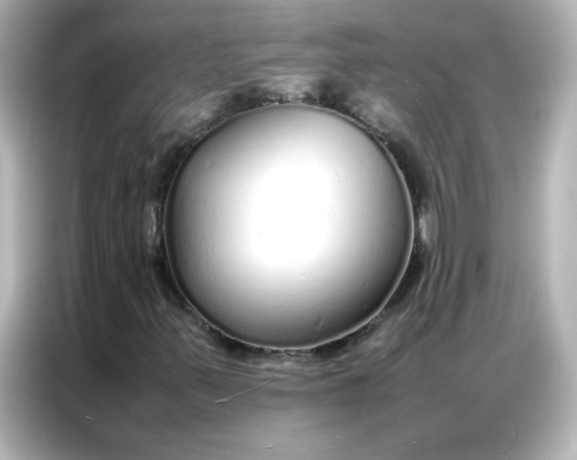 X0000086991347200704301329