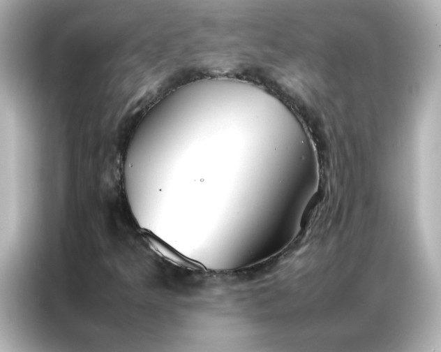 X0000086991349200704301329