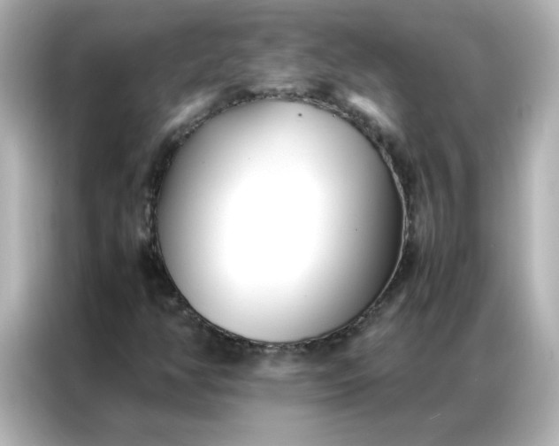 X0000086991350200704301329