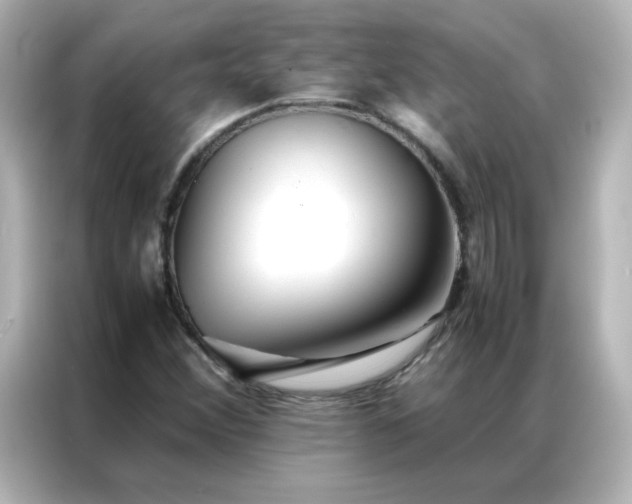 X0000086991356200704301329