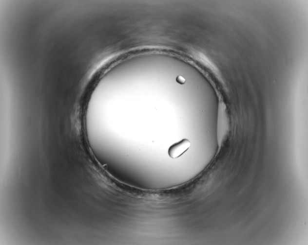 X0000086991360200704301329