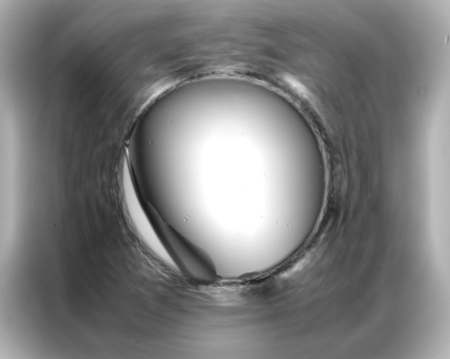 X0000086991361200704301329