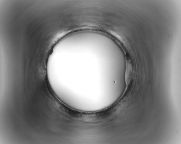 X0000086991363200704301329