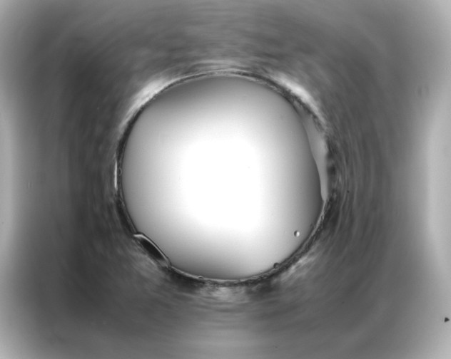 X0000086991365200704301329