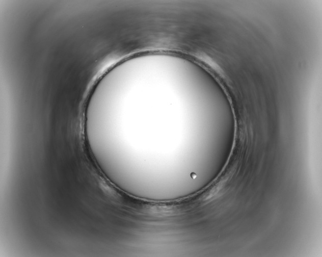 X0000086991366200704301329