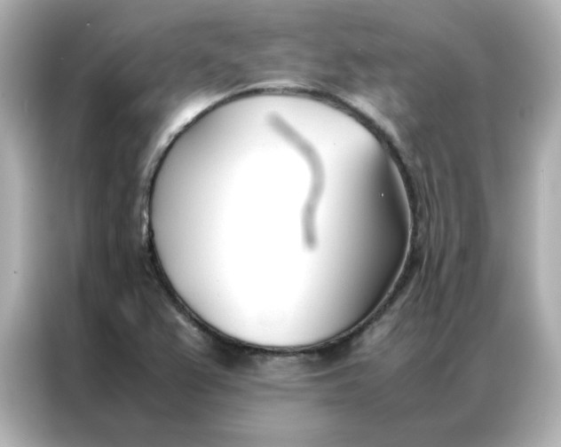 X0000086991367200704301329