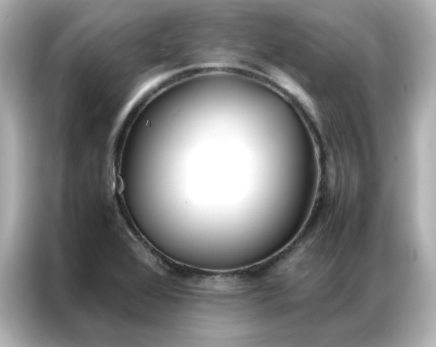 X0000086991368200704301329