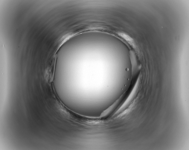 X0000086991369200704301329