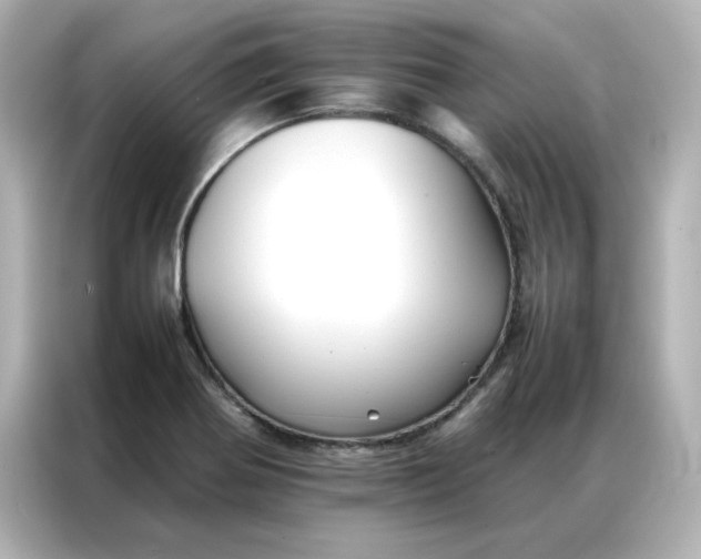 X0000086991370200704301329